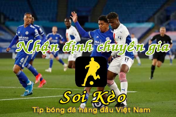 Nhận định Soi Kèo Leicester vs Crystal Palace: Tiếp đà hưng phấn