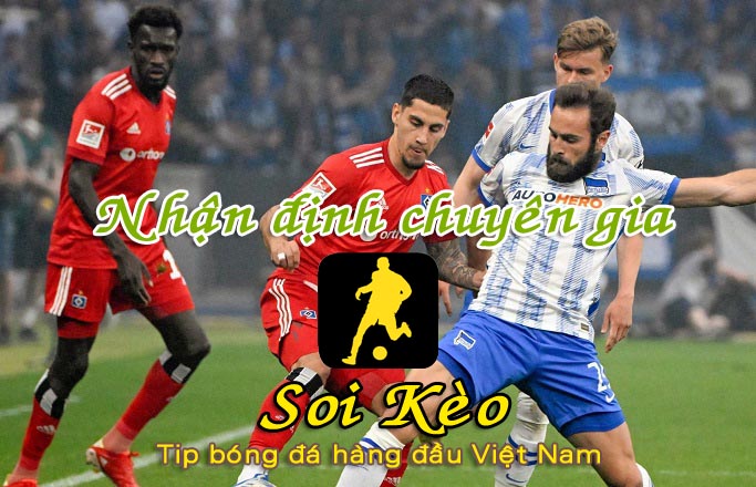 Nhận định Soi Kèo Hamburg vs Hertha Berlin: Phố cảng mở hội