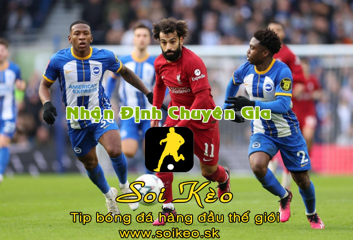 Soi Kèo tip bóng đá Brighton - Liverpool